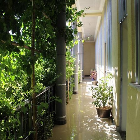 Bahir Dar Backpackers Hostel Exterior photo